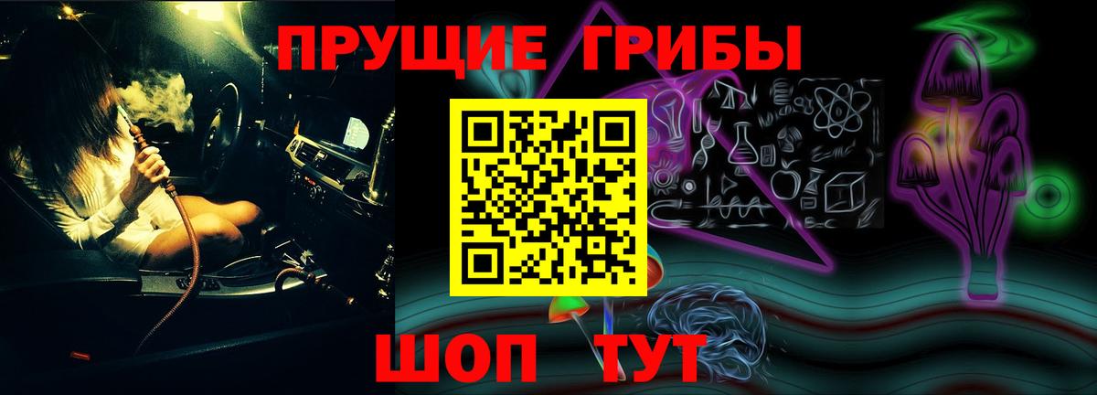 Галлюциногенные грибы GOLDEN TEACHER  Галлюциногенные грибы Cubensis  Жуковский  Вход с VPN 